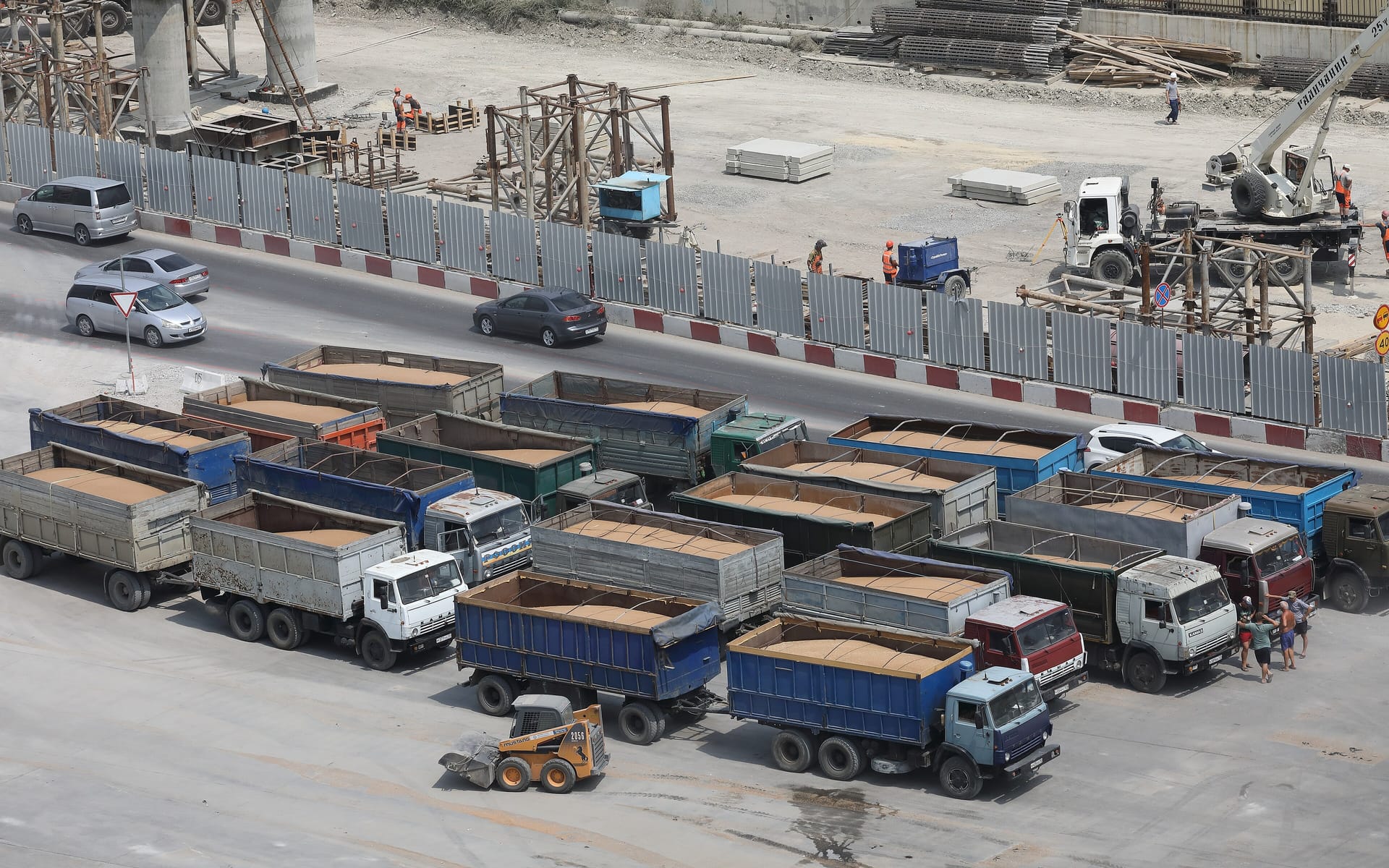 Grain trucks lined up at a port